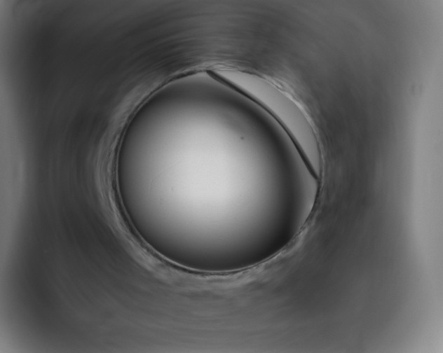 X0000093210001200710101335