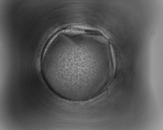 X0000093210002200710101335