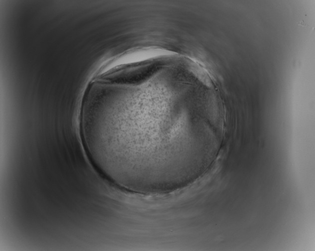 X0000093210003200710101335