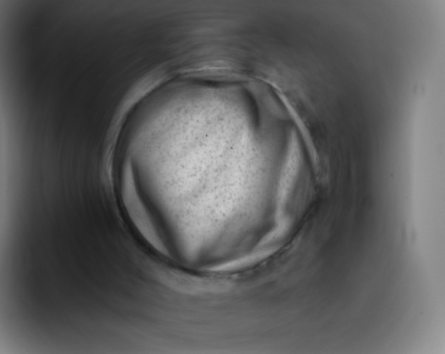 X0000093210004200710101335