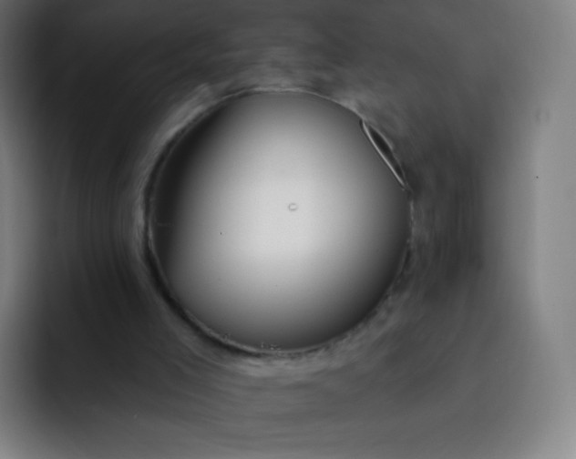 X0000093210005200710101335