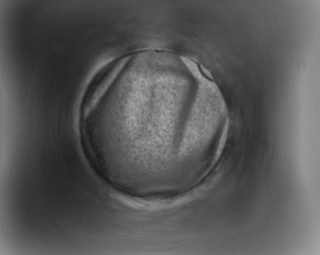 X0000093210006200710101335