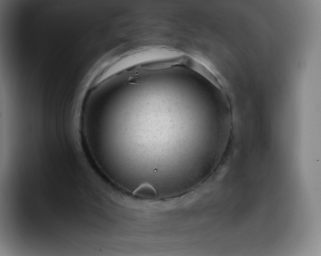 X0000093210007200710101335