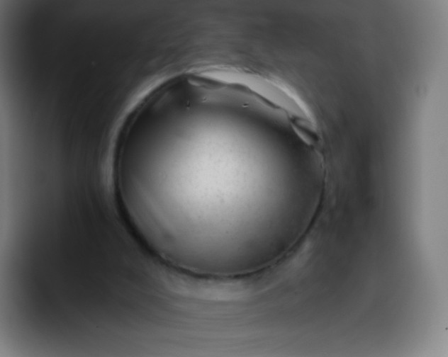 X0000093210008200710101335