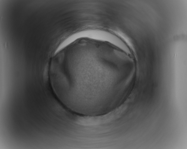 X0000093210009200710101335