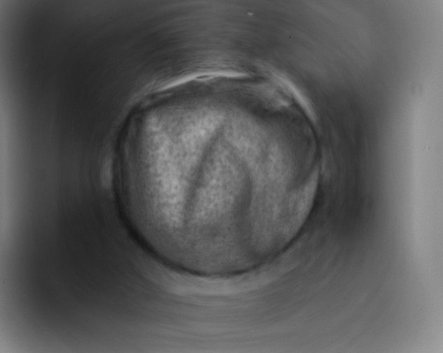 X0000093210010200710101335