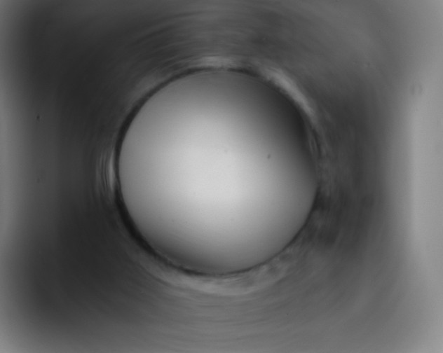 X0000093210011200710101335