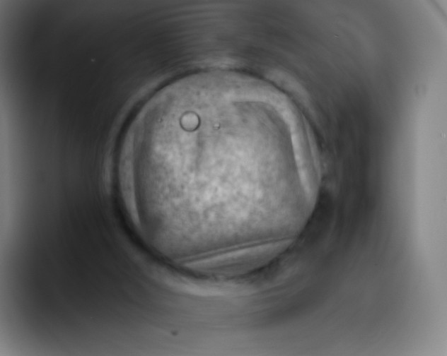 X0000093210012200710101335