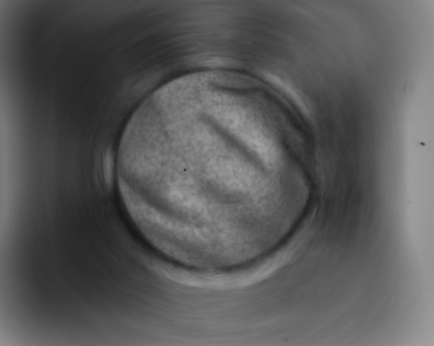 X0000093210014200710101335