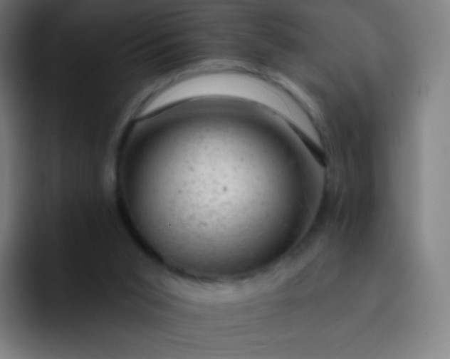 X0000093210015200710101335