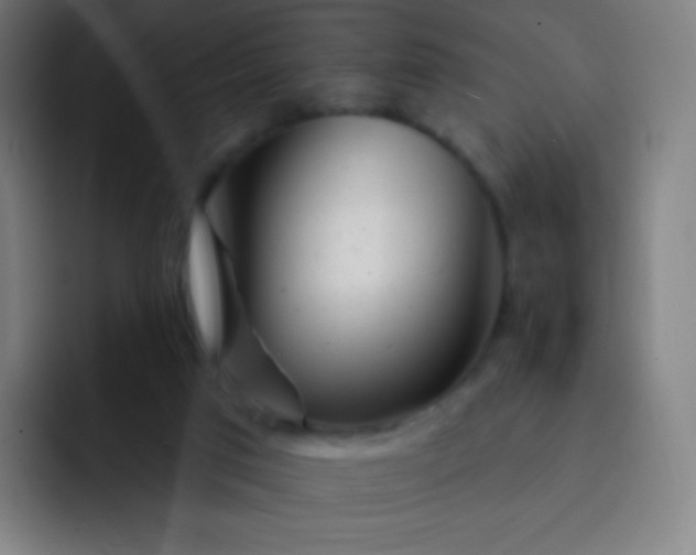 X0000093210017200710101335