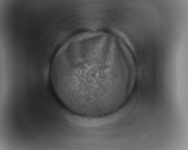 X0000093210018200710101335