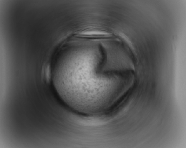 X0000093210020200710101335