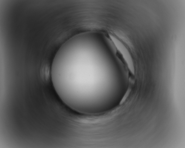 X0000093210021200710101335