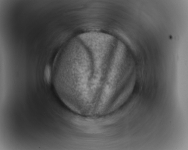 X0000093210022200710101335