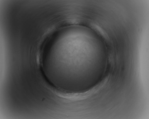 X0000093210023200710101335