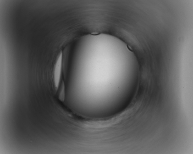 X0000093210025200710101335