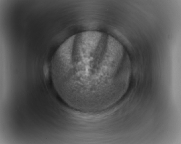 X0000093210026200710101335