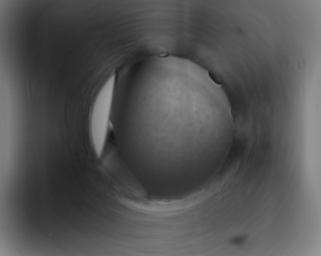 X0000093210027200710101335