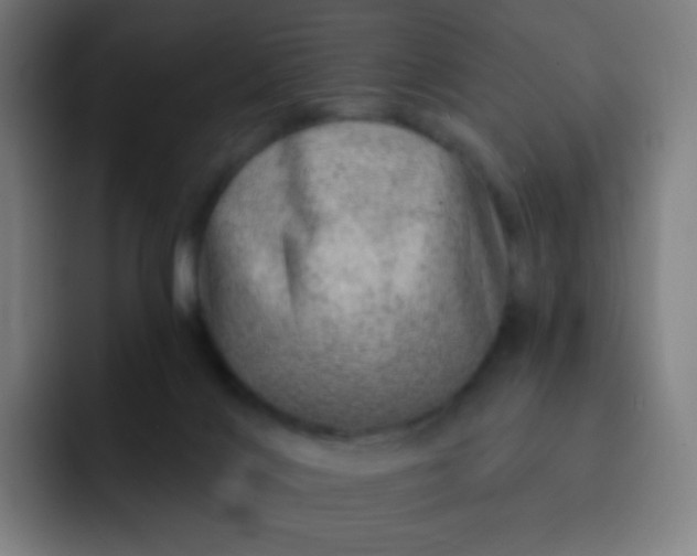 X0000093210028200710101335