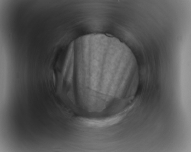 X0000093210029200710101335