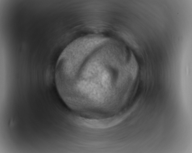 X0000093210030200710101335