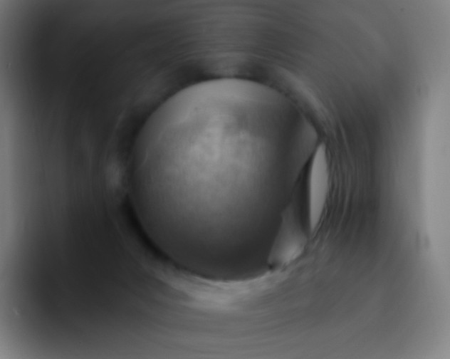 X0000093210031200710101335