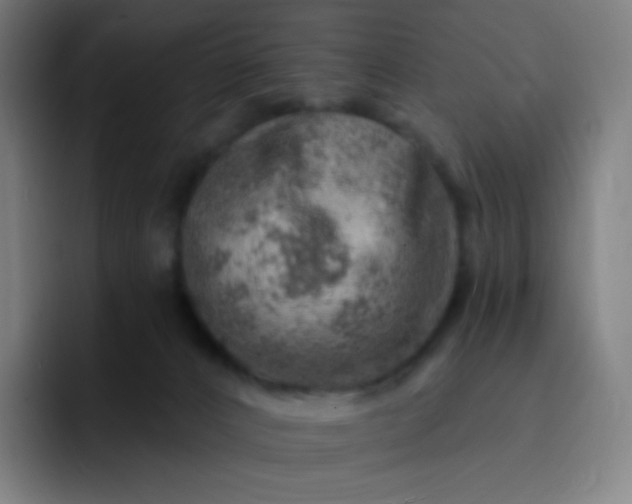 X0000093210032200710101335