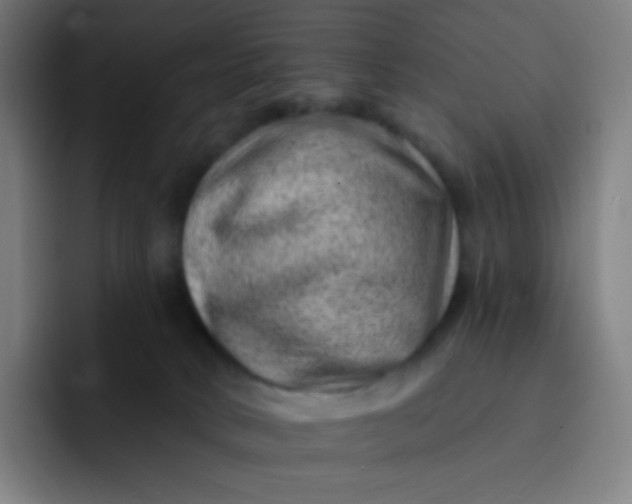 X0000093210034200710101335