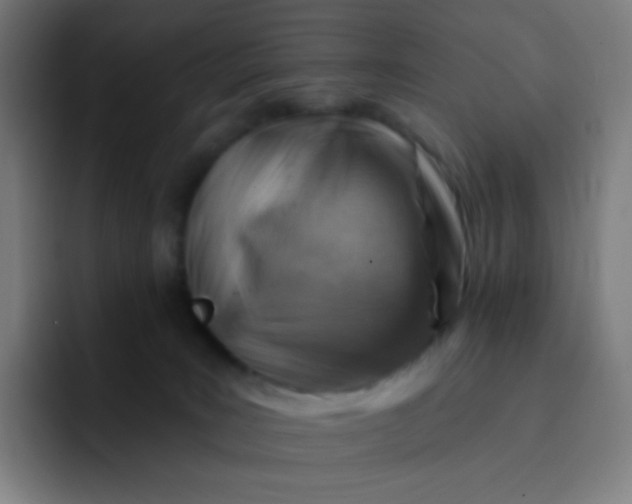 X0000093210035200710101334