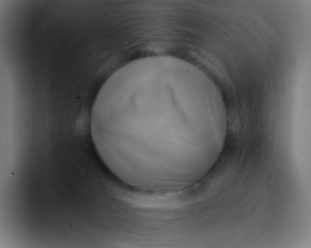 X0000093210036200710101334