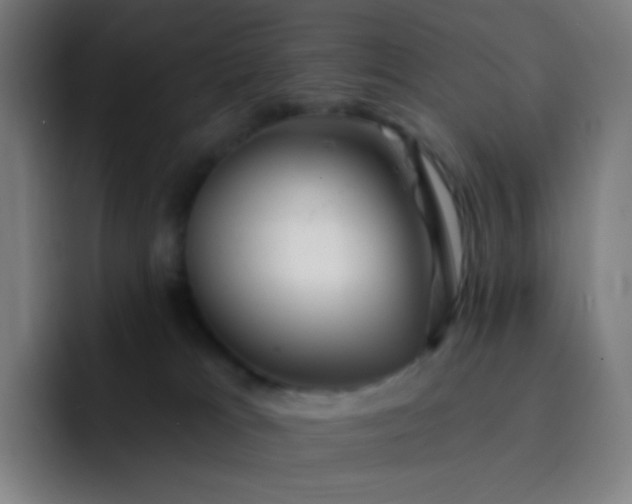 X0000093210037200710101334