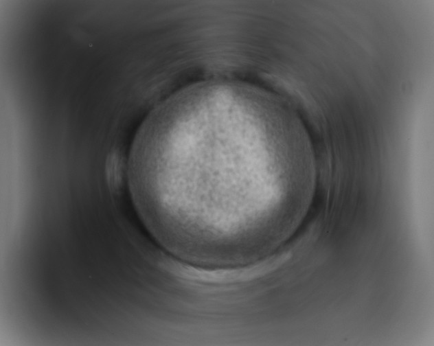 X0000093210038200710101334