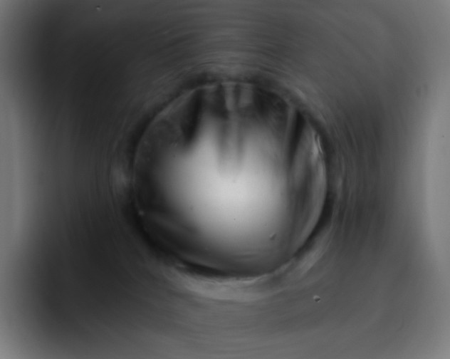 X0000093210040200710101334