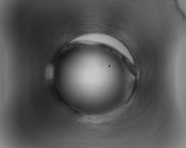 X0000093210041200710101334