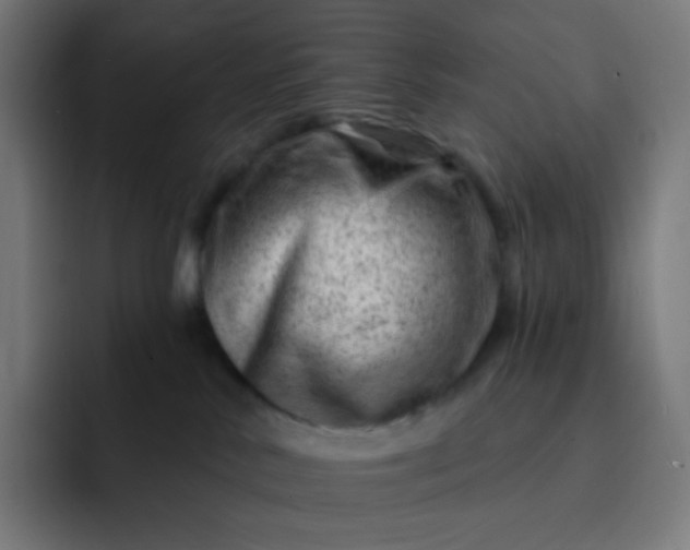 X0000093210042200710101334