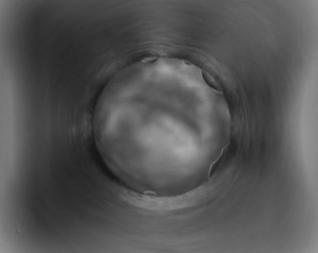 X0000093210043200710101334