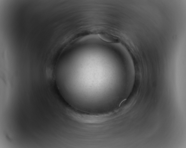 X0000093210044200710101334