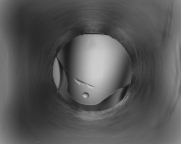 X0000093210045200710101334