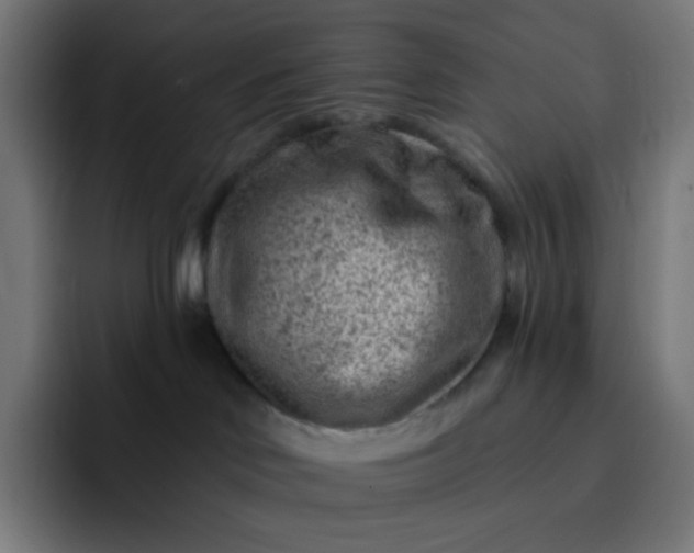 X0000093210046200710101334