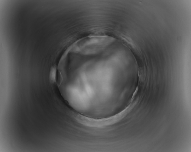 X0000093210047200710101334