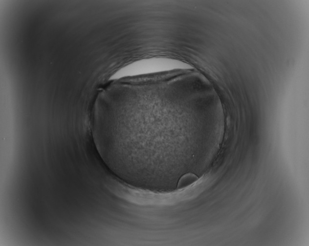 X0000093210048200710101334