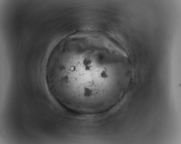 X0000093210049200710101334