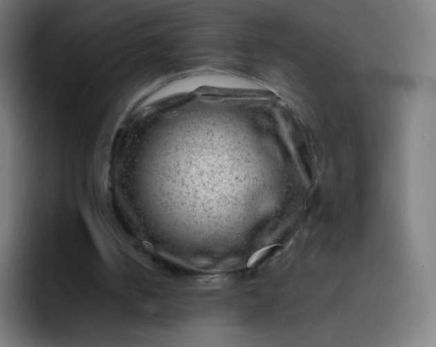 X0000093210050200710101334