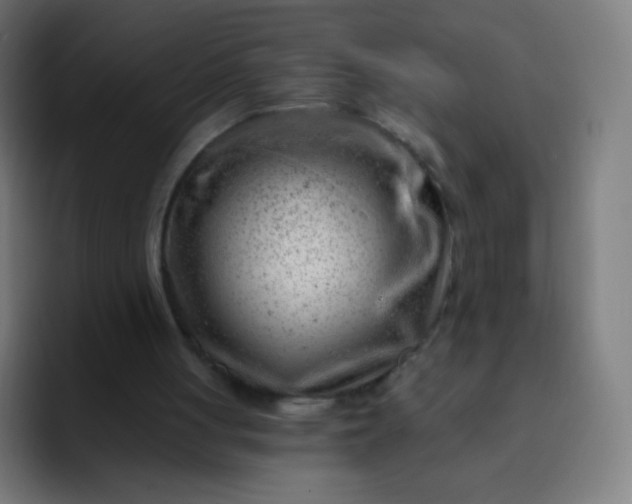 X0000093210051200710101334