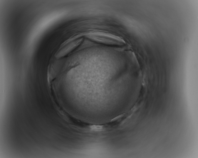 X0000093210052200710101334