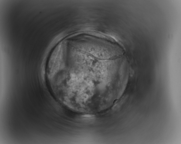 X0000093210053200710101334