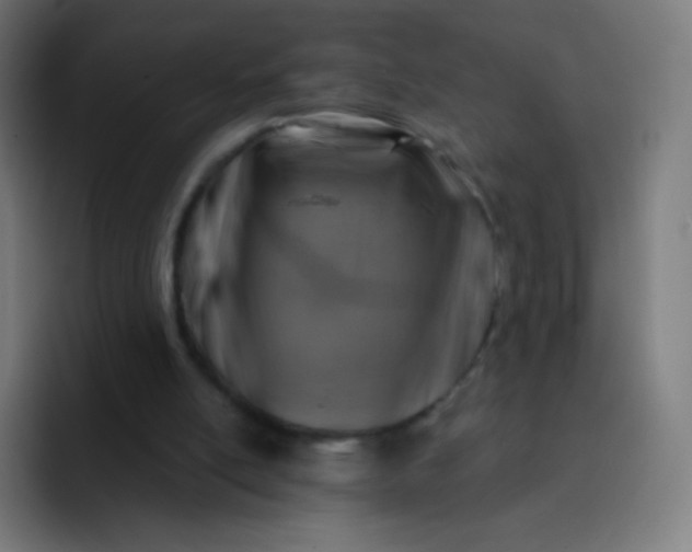 X0000093210054200710101334