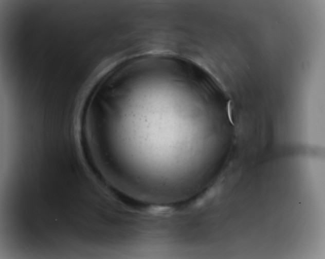 X0000093210055200710101334