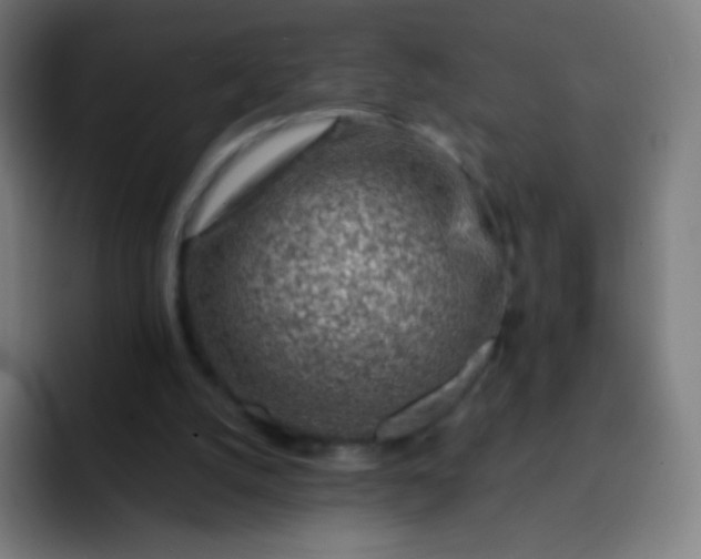 X0000093210056200710101334